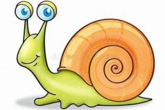 a-snail